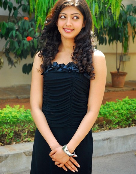 Tollywood Stars Wallpapers: Heroine Pranitha cute Pics