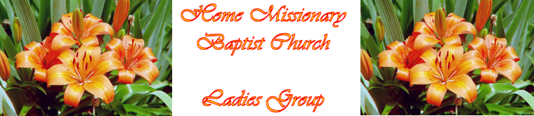 The Ladies Group of the Home Missionary Baptist Church