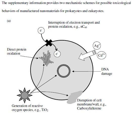 applications of nanomaterials