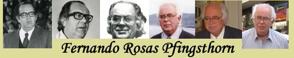 Fernando Rosas Pfingsthorn