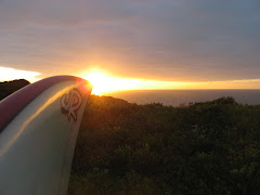 JR Surfbords, Native Board