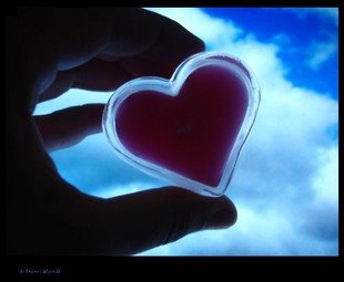 [sem+títuloxxz.bmp]