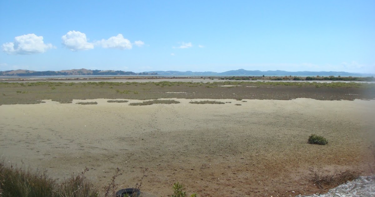 Slow Food Auckland Clevedon Oyster Farm report