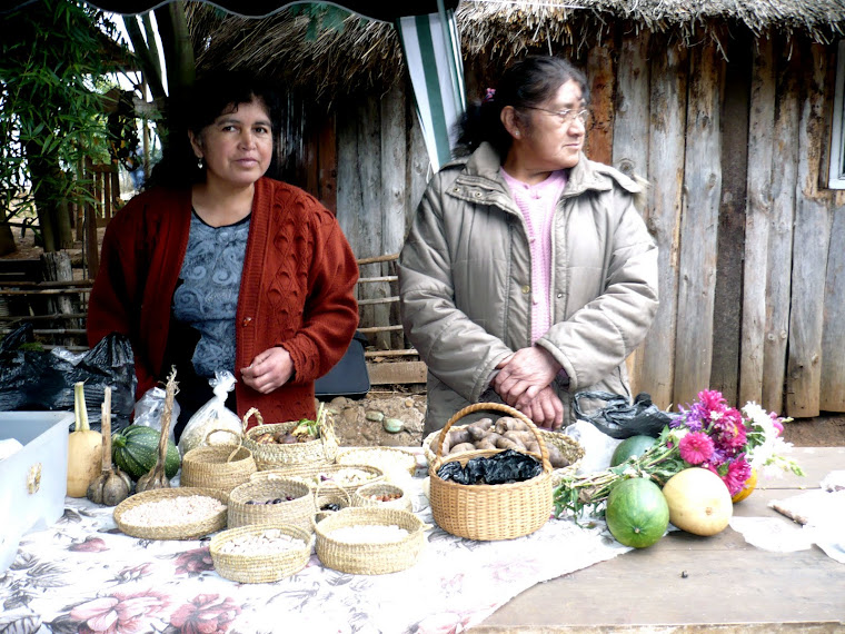 CULTURA MAPUCHE (3). OFRENDA AL WALLMAPU