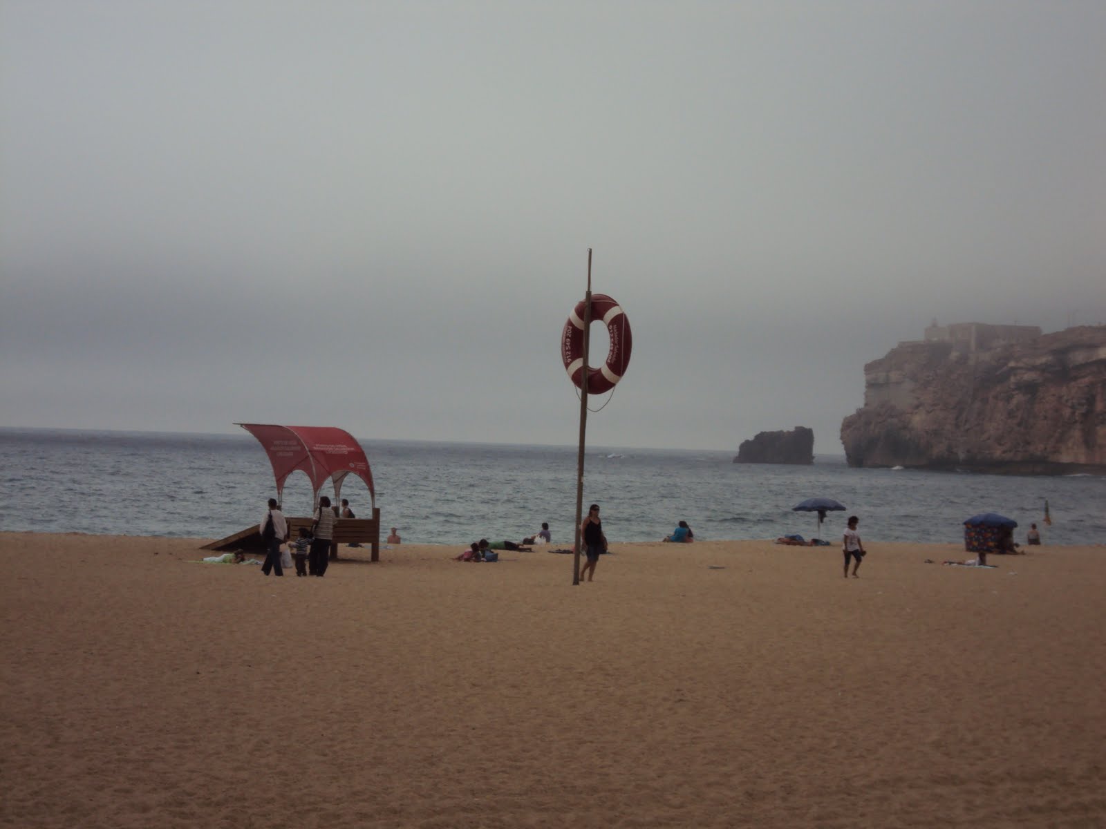 [DSC00155.JPG]