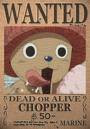 Tony Tony Chopper