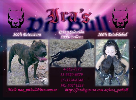 IRA´S PIT KENNEL
