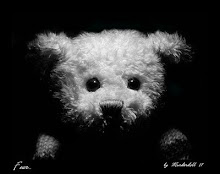 A minha fotografia
