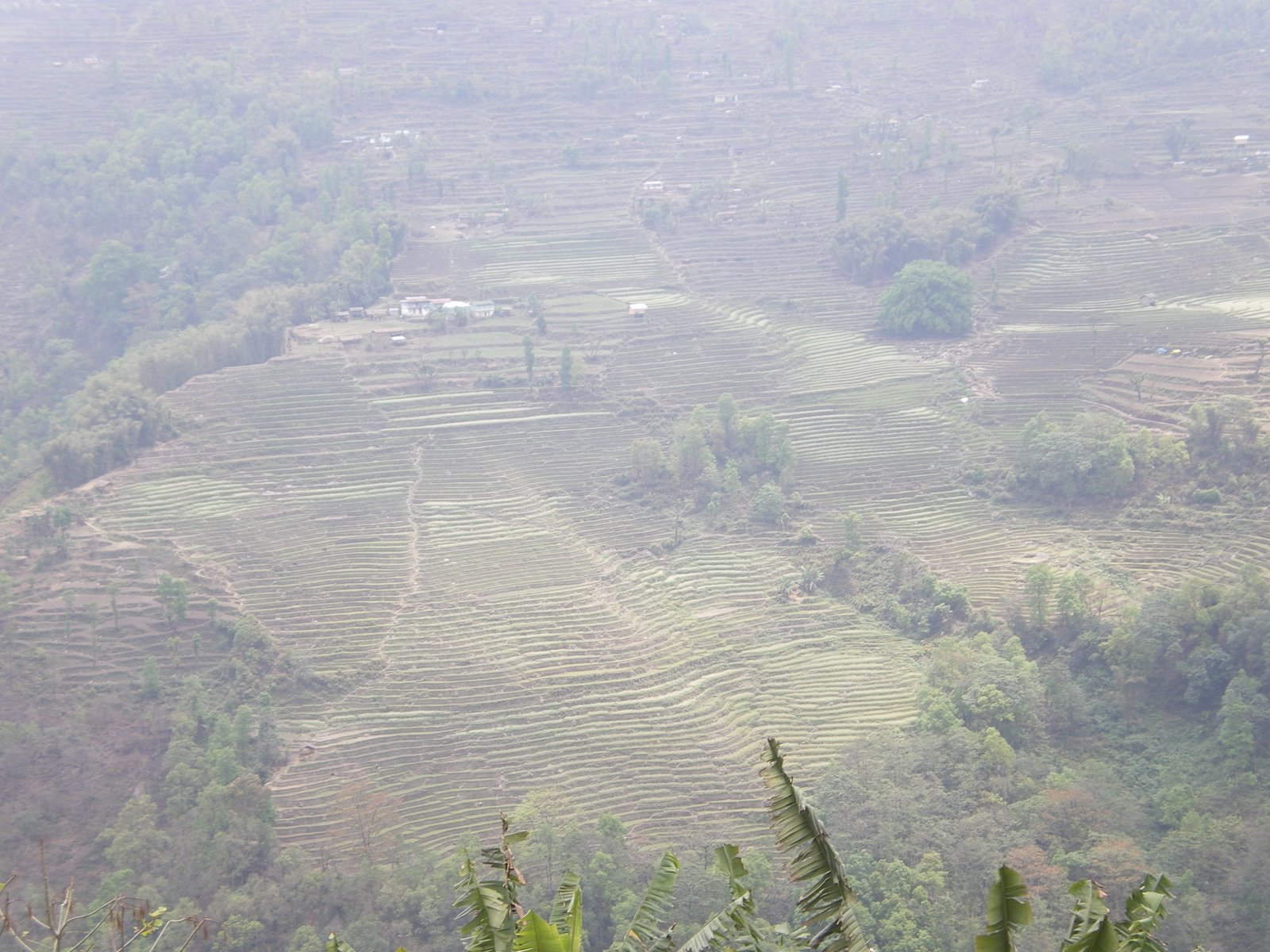 [IMGP0242.JPG]