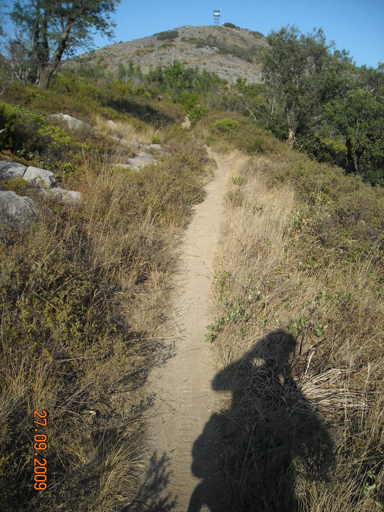 [DSCN3071.jpg]