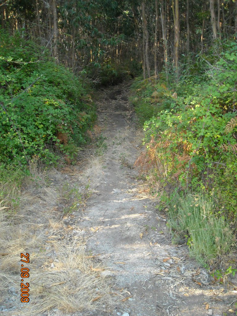 [DSCN3056.jpg]