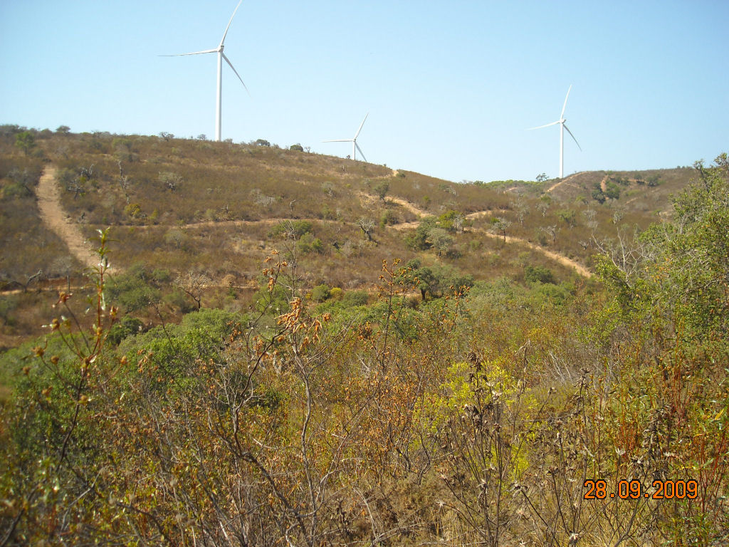 [DSCN3124.jpg]