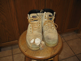 steel toe cut off toes