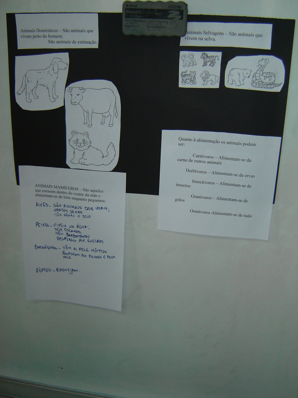 [DSC03918.JPG]