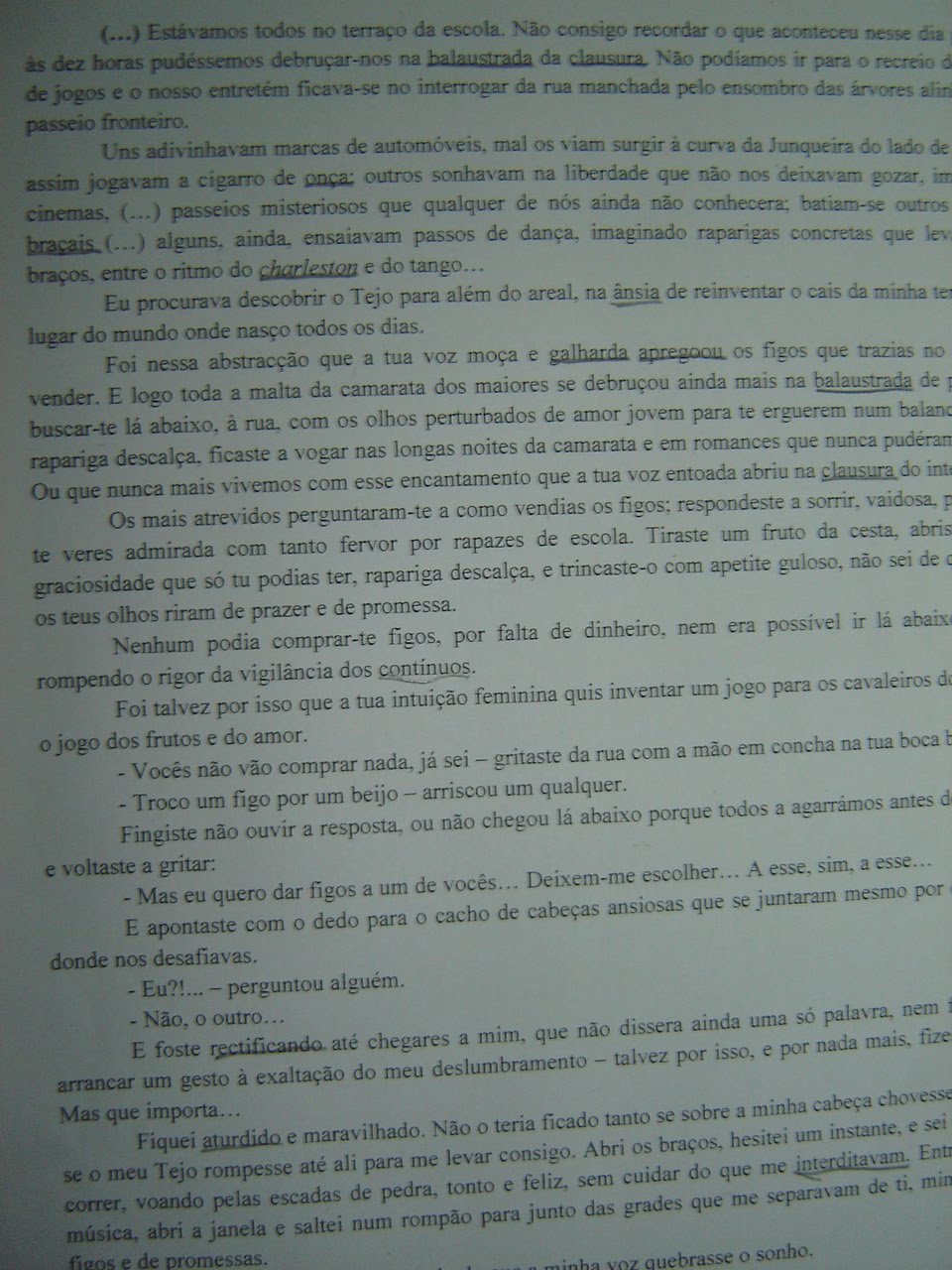 [DSC03969.JPG]