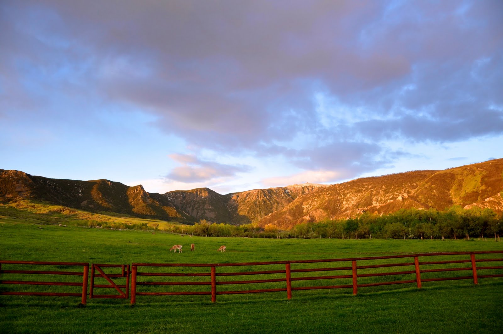 Chris Gibisch Canyon Ranch, Wyoming
