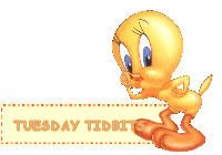 [tweety+.jpg]