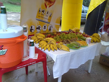 Mesa de frutas da melhor qualidade