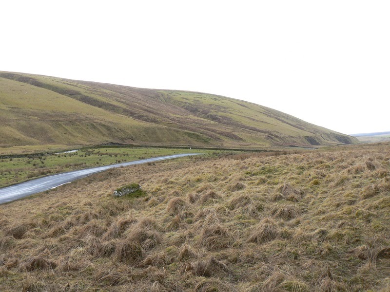 Guide Dogs for the Blind Welcome to Guide Dogs for the Blind