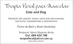 TERAPIA FLORAL PARA FELINOS