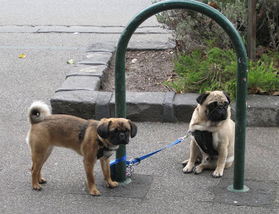 dating femmes meurthe et moselle