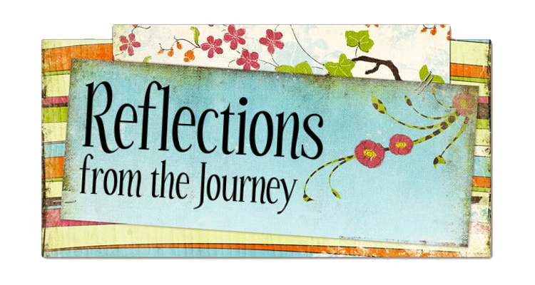 Reflections from the Journey