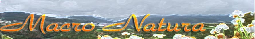 Macro Natura