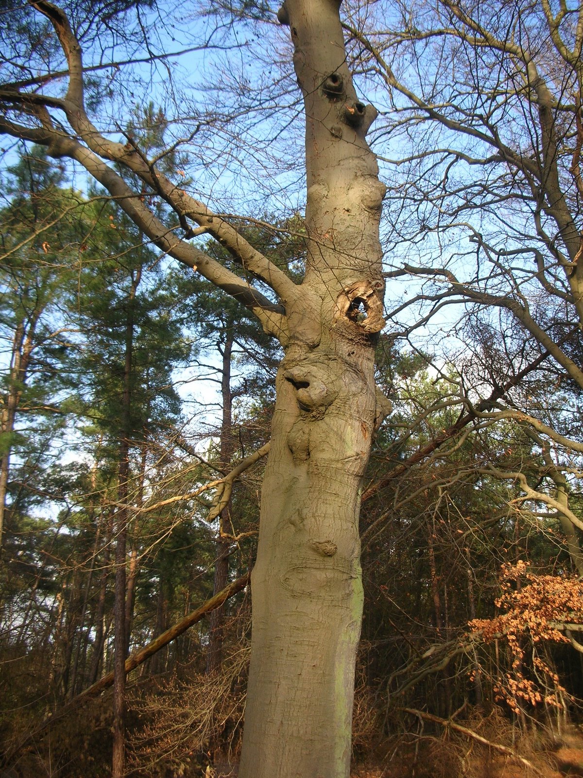 [DSCN3392.JPG]