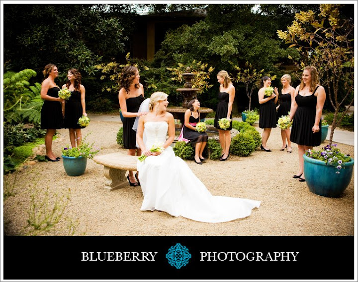 beautiful outdoor lodi wine and roses wedding san francisco