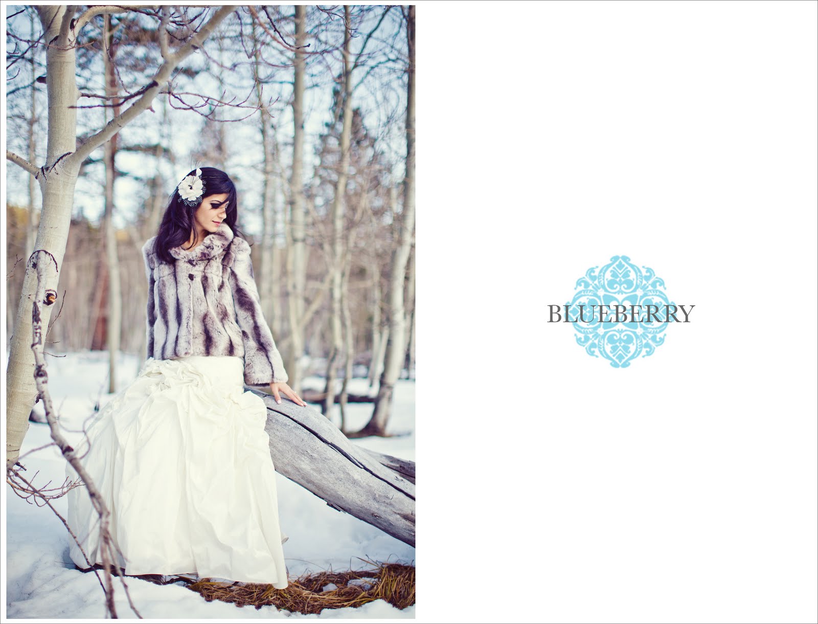 Blueberry Photography