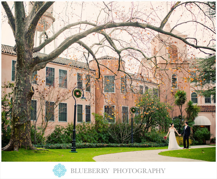 wedding photographer sonoma