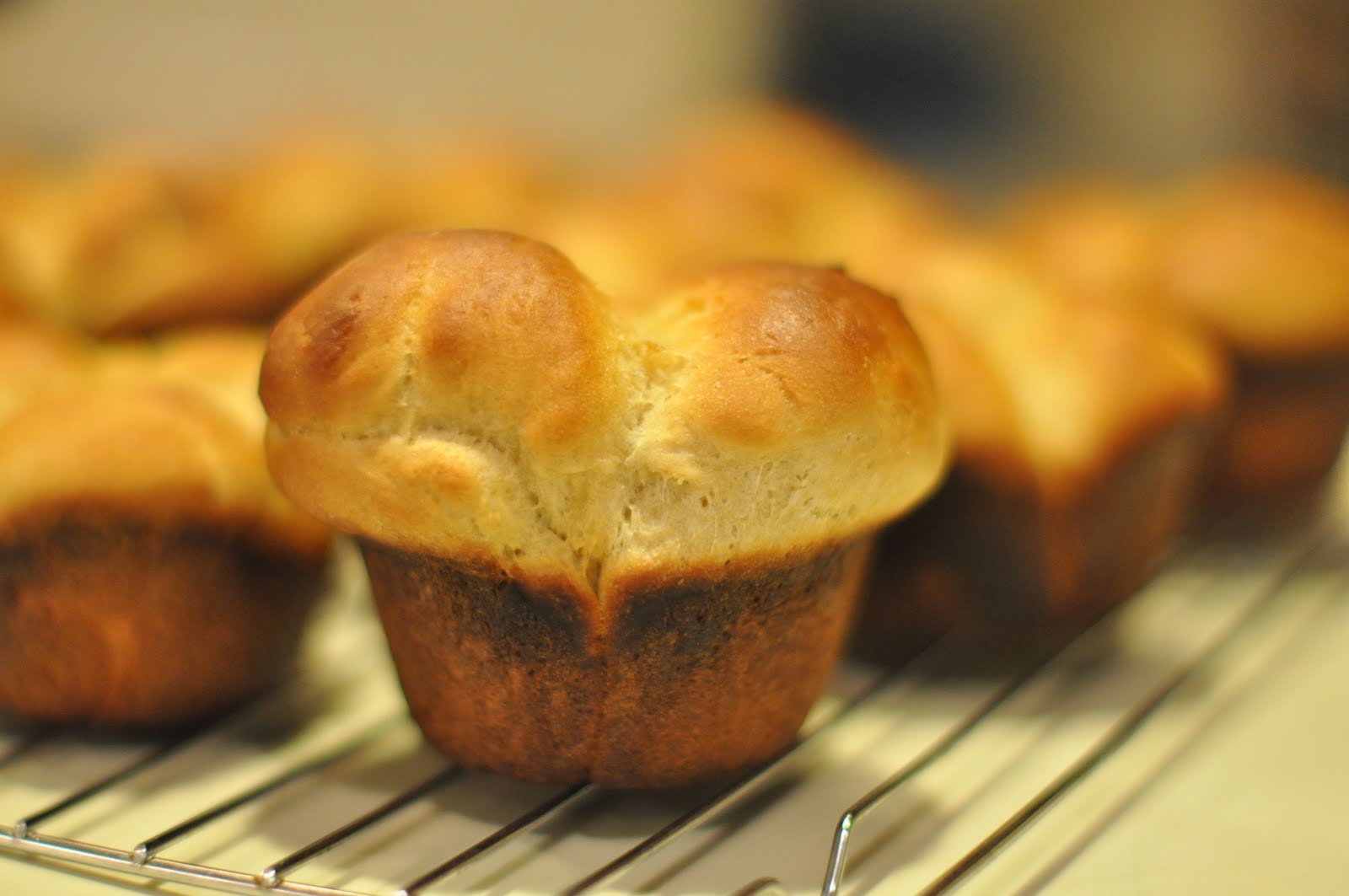 This Mommy Cooks Kitchen Aid 60Minute Dinner Rolls