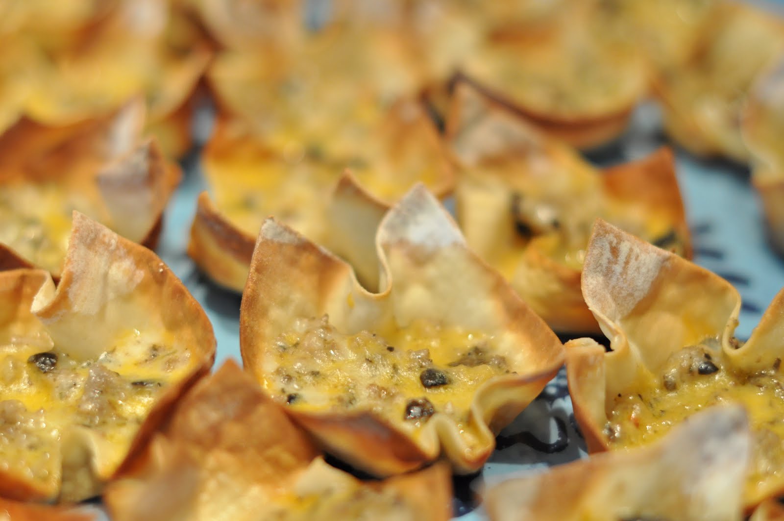 This Mommy Cooks Sausage and Cheese Wontons