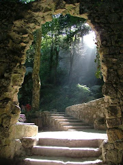 THE HEALING LIGHT
