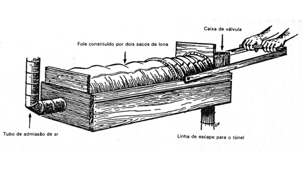 [fig-2.jpg]