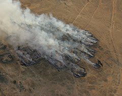 Village burned by Janjaweed