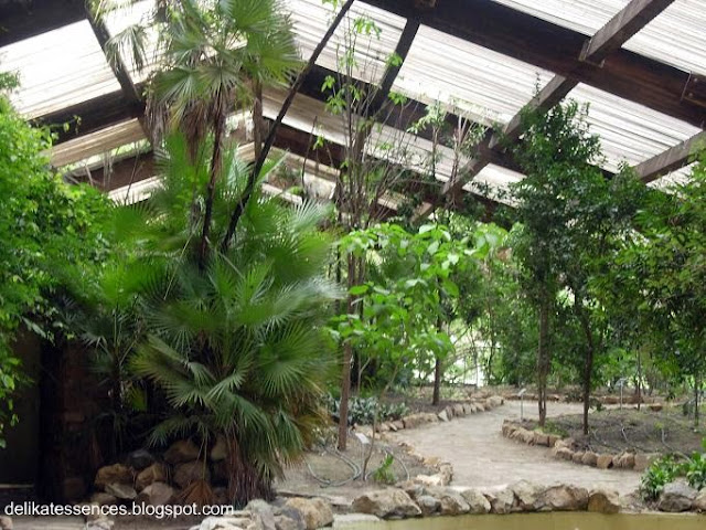 DELIKAT ESSENCES: El jardín americano