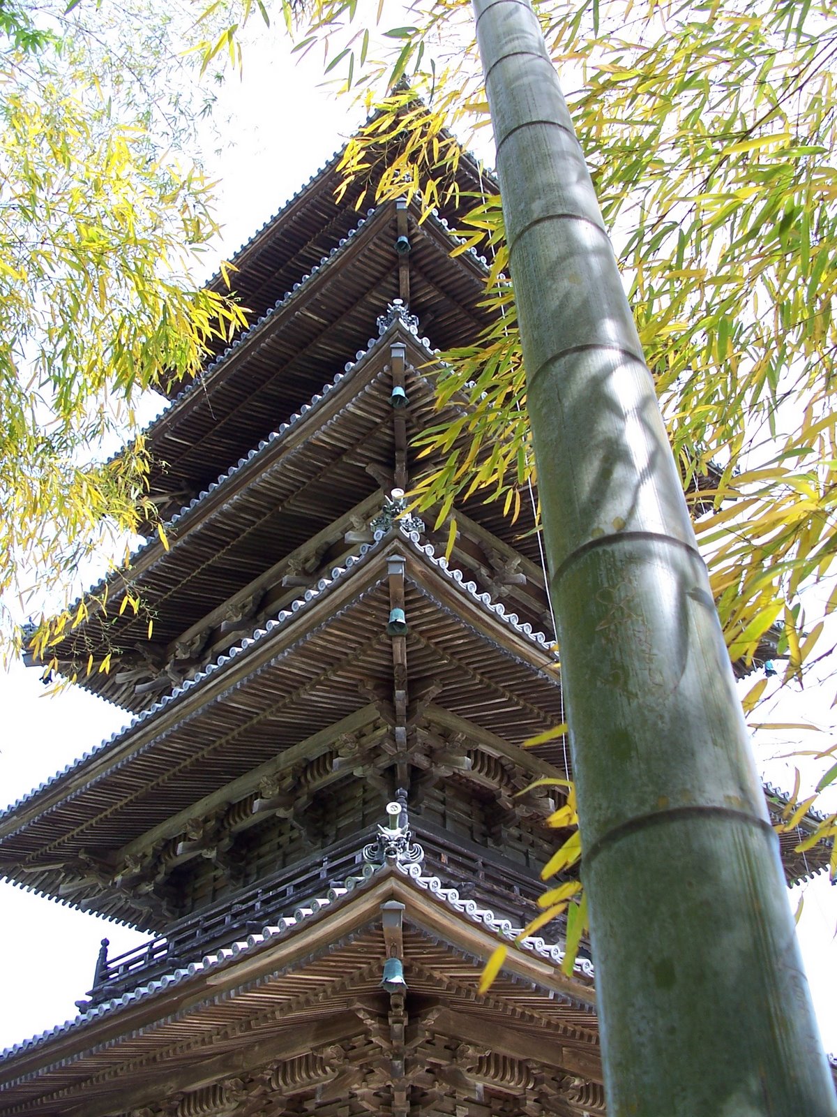 [Bamboo&Pagoda.JPG]
