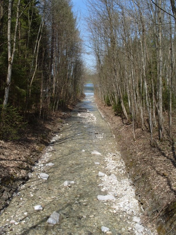 [Bannwaldsee1.JPG]