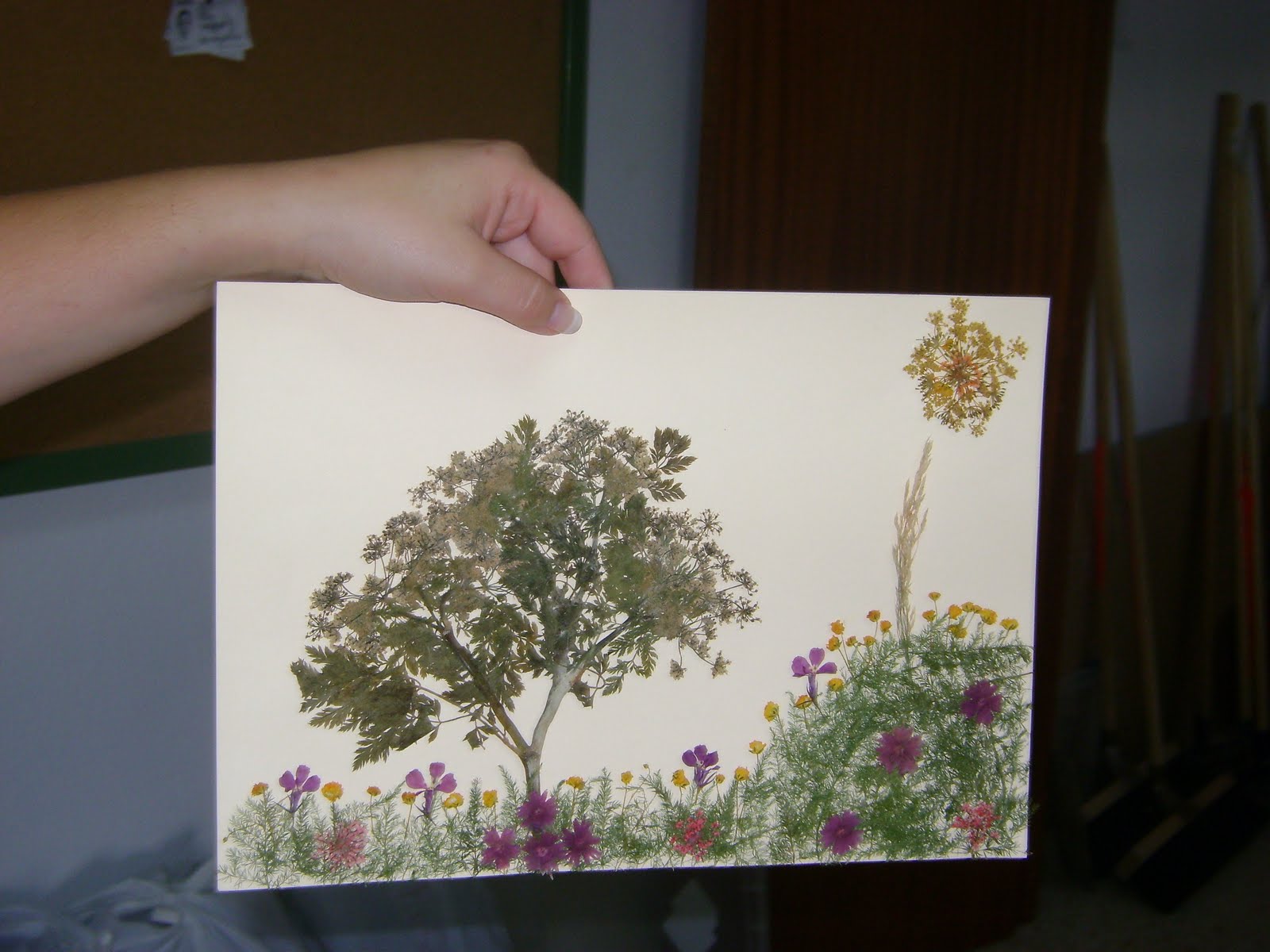 Cuadro Decorativo Con Flores Secas MercadoLibre Uruguay - Imagenes De Cuadros De Flores Secas