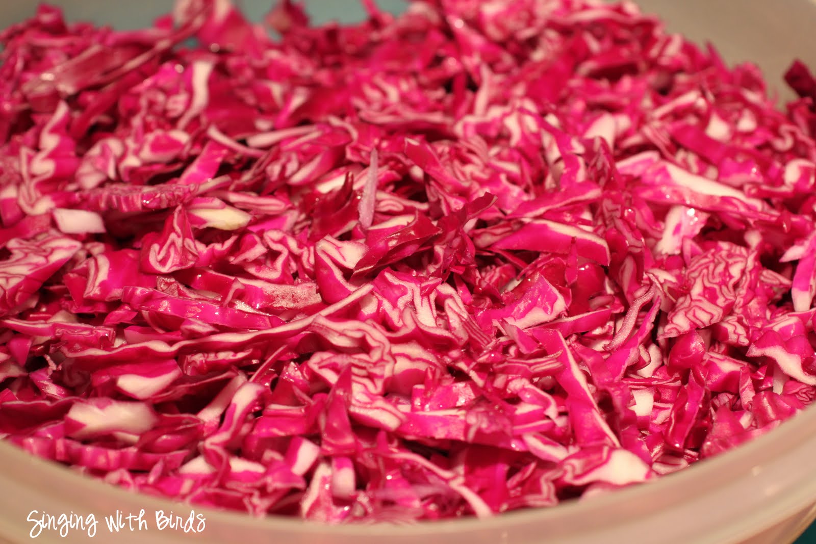 North Woods Inn Red Cabbage Salad {Slaw} Cheery Kitchen