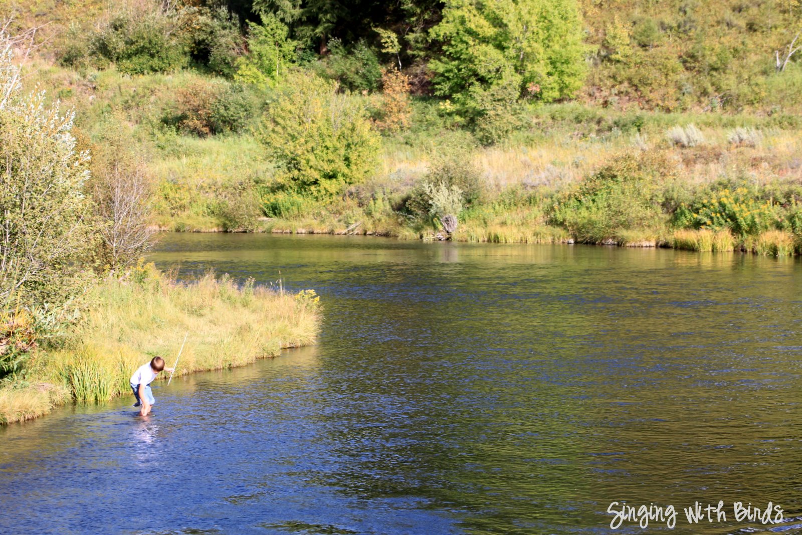 Road Trip USA Ashton, Idaho & Mesa Falls Cheery Kitchen