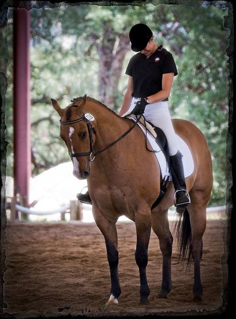 Blue Fountain Farm and Photography Dressage Clinic, Dressage Show and