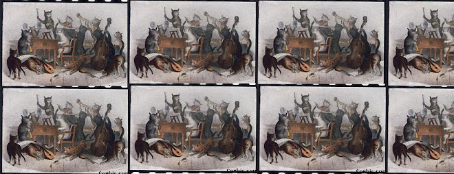 Orquesta de los gatos