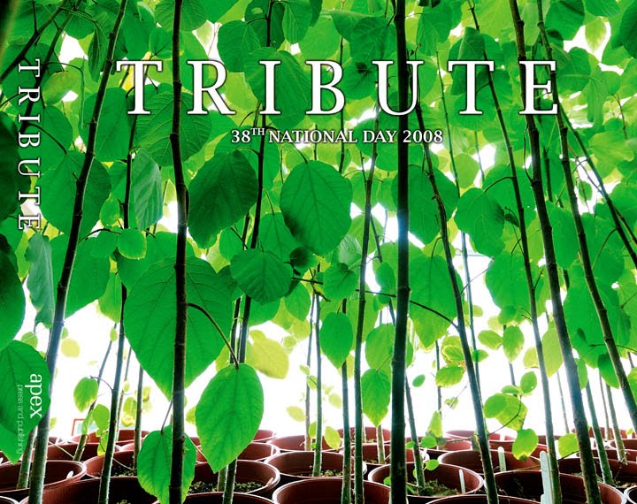 [1+tribute+08+cover+leaves.jpg]