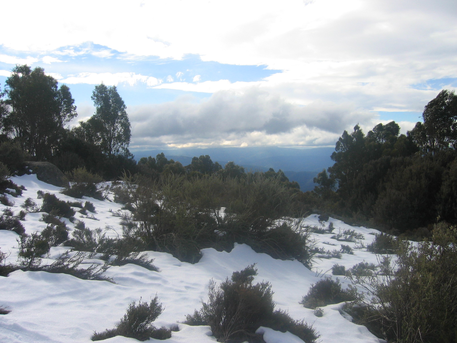 [IMG_2452.JPG]