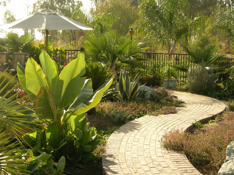 Art forms Garden Designs