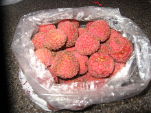 lychee fruit