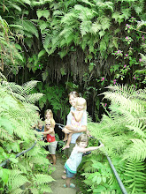 Walking down into the lava tube