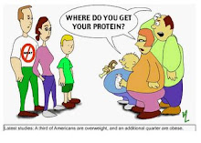 Where do you get your protein?
